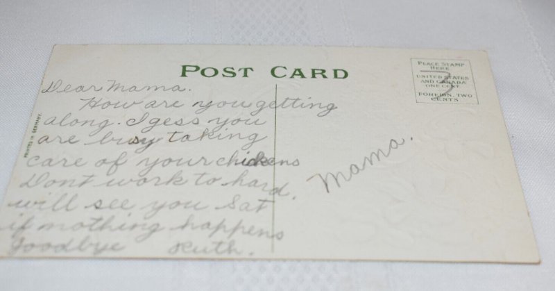 Forget Me Not Greetings Embossed Postcard Printed in Germany