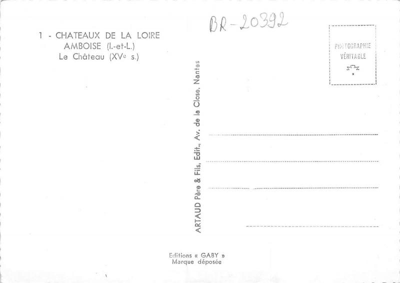 BR20392 Le Chateau amboise France