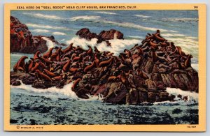 Postcard Seal Herd on Seal Rocks near Cliff House San Francisco California CA