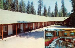 Yosemite California White Chief Motel Multiview Vintage Postcard K50144 