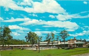 Mackinaw City Michigan~Starlite Motel~Pool~Dick Matzkows Owner~1960s Postcard