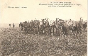 Horses. Military. Major ManeuversOld vintage French photo postcard