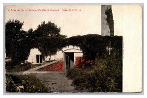 Charles City IA. Iowa A Bank Of Ivy At Sherman's Green Houses