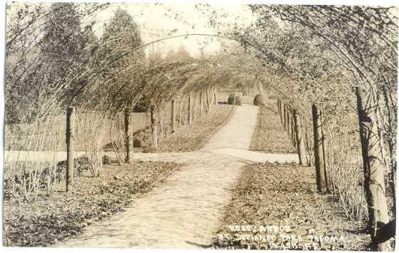 RPPC of Rose Arbor, Pt. Defiance Park, Tacoma, Washington, WA