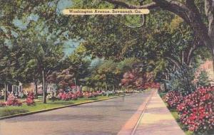 Georgia Savannah Washington Avenue