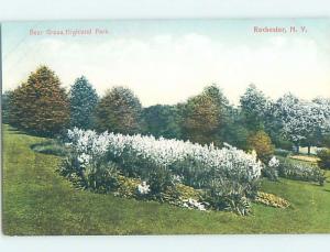 Unused Divided-Back PARK SCENE Rochester New York NY H2764