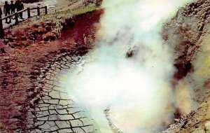 Yellowstone mud volcano Wyoming, USA National Park Unused 