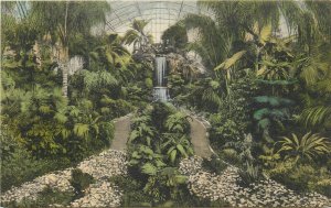 Postcard 1920s Ohio Cincinnati Palm House Eden Conservatory Albertype OH24-1444