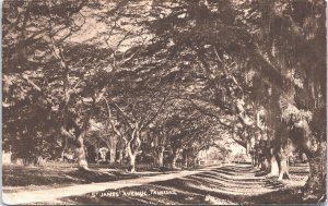 Trinidad And Tobago St James Avenue Vintage Postcard 05.42 