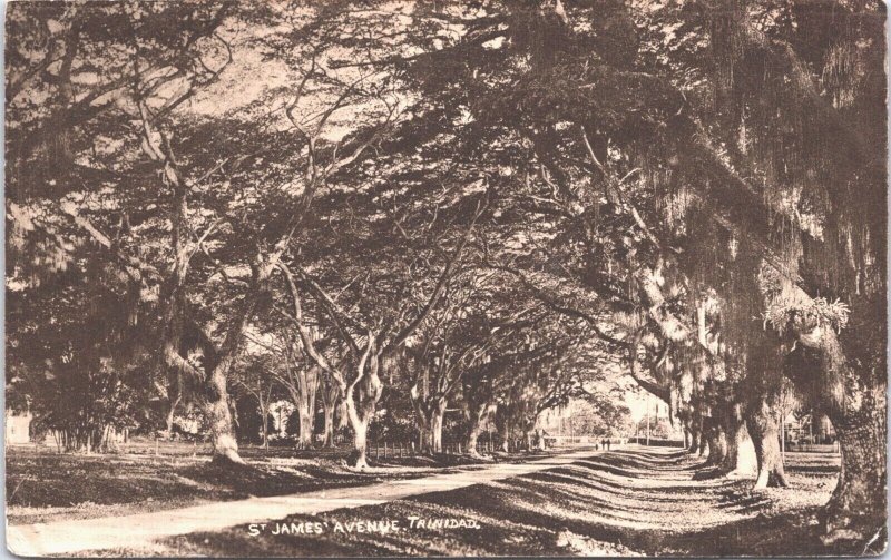 Trinidad And Tobago St James Avenue Vintage Postcard 05.42 