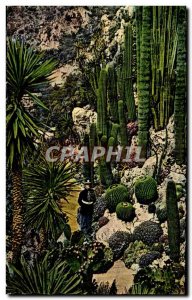Old Postcard From Monaco Principality A Beautiful Garden Of Exotic plants