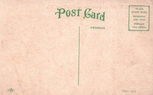 La Crosse, Wisconsin - The Steamer G.W. Hill taking excursions - c1908