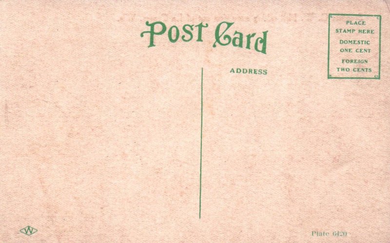 La Crosse, Wisconsin - The Steamer G.W. Hill taking excursions - c1908