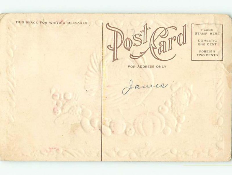 Unused Divided-Back thanksgiving TURKEY WITH LINE OF VEGETABLES r3838