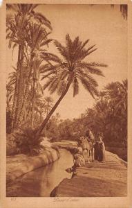 BF9158 dans l oasis lehnert & landrock africa types      Africa