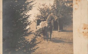 RPPC WOMAN IN HORSE CARRIAGE REAL PHOTO POSTCARD (c.1930s)