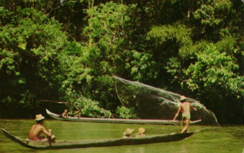 malay malaysia, SARAWAK BORNEO, Native Dayaks Fishing (1980) Postcard