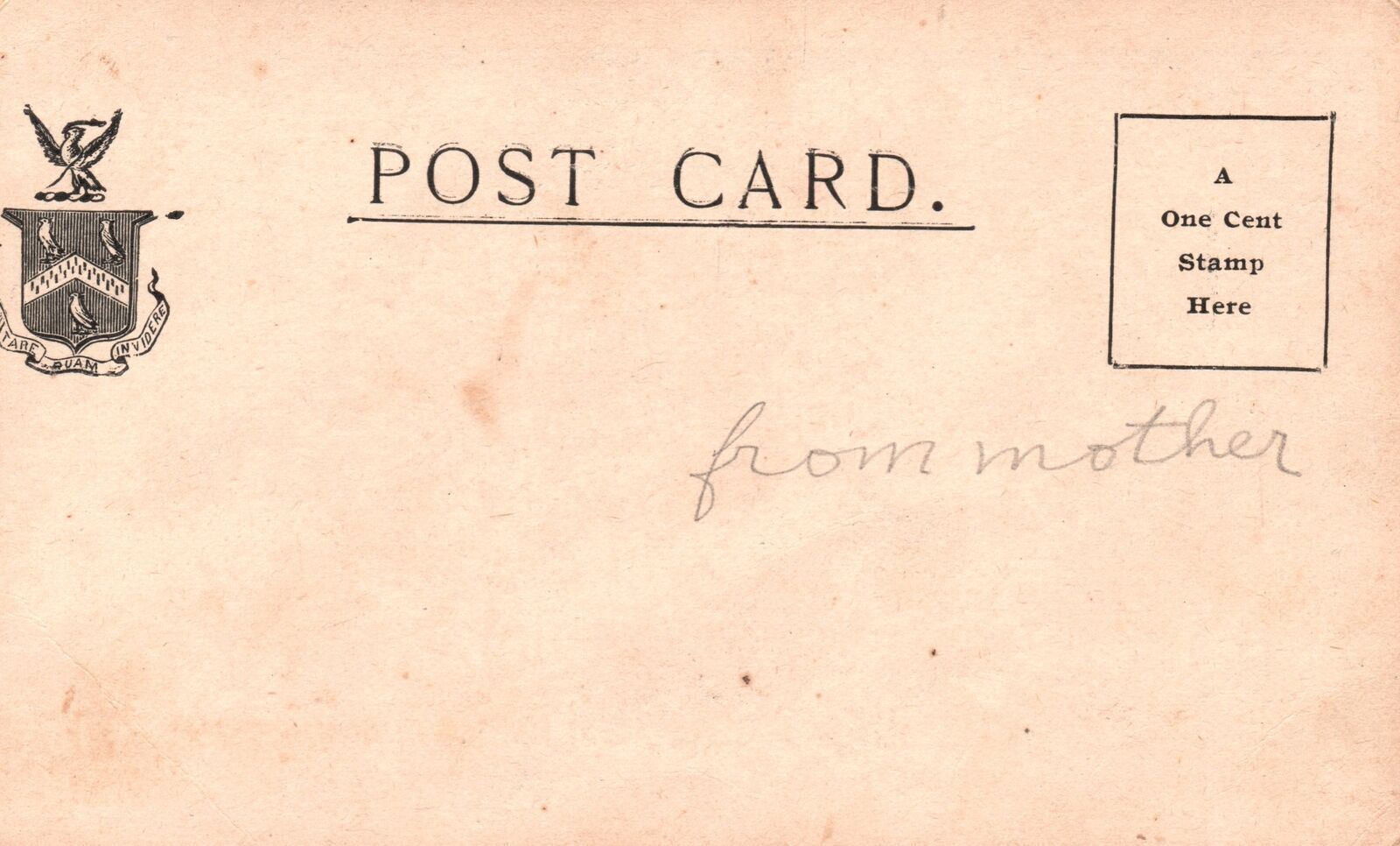 Vintage Postcard Summer House Lawn Of John Lewis Childs Floral Park New