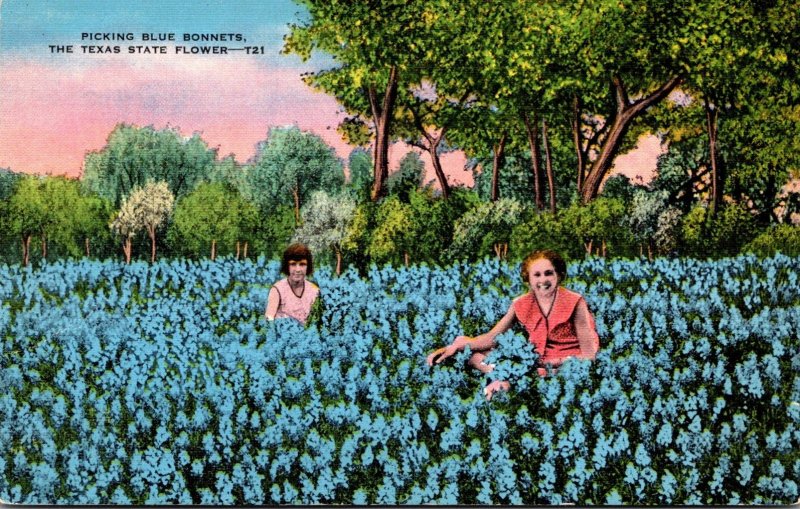 Texas State Flower Picking Blue Bonnets