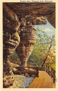 Hornets Nest General Appearance Dells Of The Wisconsin WI 