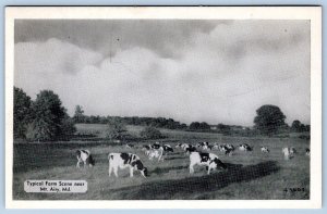 1960's MT MOUNT AIRY MARYLAND MD TYPICAL FARM SCENE COWS VINTAGE POSTCARD