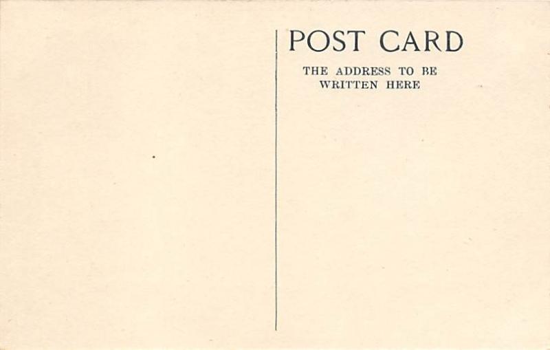 Cunard Line Ship Postcard Old Vintage Steamer Antique Post Card Unused