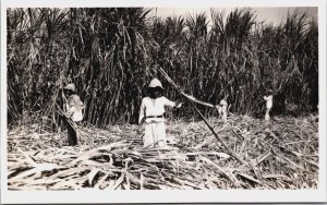 Indonesia Palembang Sumatra Cutting Vintage RPPC C130