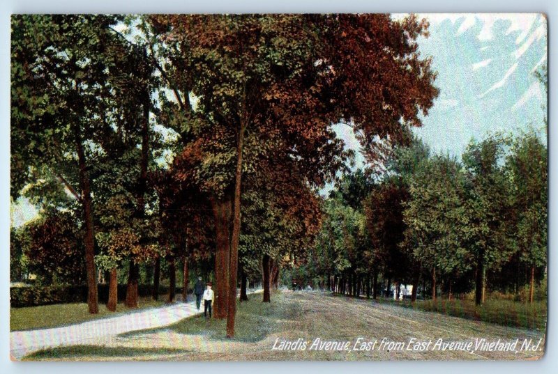 c1910 Vineland North Dakota ND Vintage Postcard Landis Avenue East Avenue Road