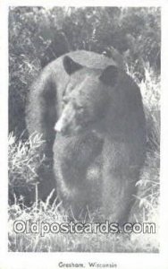 Gresham Wisconsin, WI USA Bear Postcard