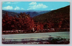 c1963 Sk-8-Skyline Drive in Shenandoah Natl Park Virginia VINTAGE Postcard 0770
