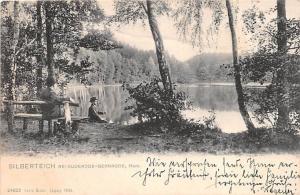 SILBERTEICH MAN MADE POND BEI SUDERODE GERNRODE HARZ GERMANY UDB POSTCARD c1904