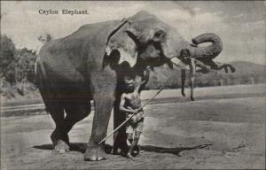 Ceylon Native Man & Elephant c1910 Postcard
