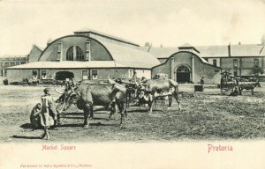 PC CPA SOUTH AFRICA, PRETORIA, MARKET SQUARE, VINTAGE POSTCARD (b15696)