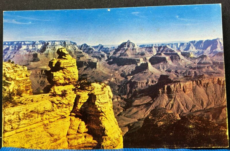 Grand Canyon National Park Vintage Postcard