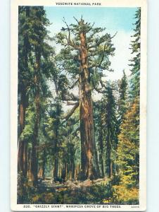 W-Border YOSEMITE NATIONAL PARK Stockton & Modesto California CA hk3854