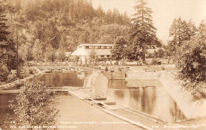 Bonneville Oregon fish hatchery on Columbia River Hwy real photo pc Y11172