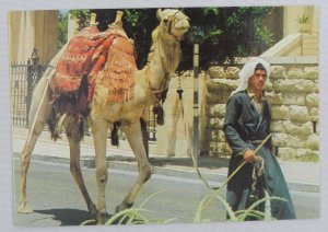 Old City Street Scene with Man and Camel - Jerusalem, Israel - Vintage Postcard