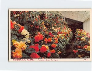 Postcard The Begonias, The Butchart Gardens, Victoria, Canada