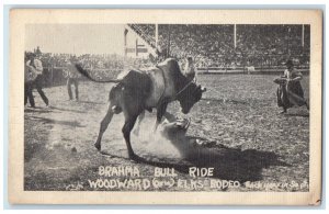 c1930's Brahma Bull Ride Woodward Elks Rodeo Unposted Vintage Postcard