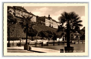 Meersburg a. B. unter Palmen Vintage Standard View RPPC Postcard