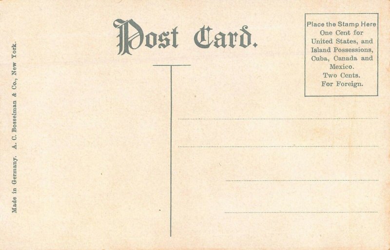 NEW YORK CITY~FLATIRON BUILDING-GROUND LEVEL VIEW~1910s POSTCARD