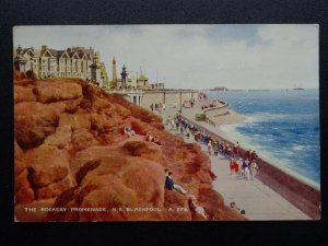 Lancashire N.S. BLACKPOOL The Rockery Promenade c1930's Postcard