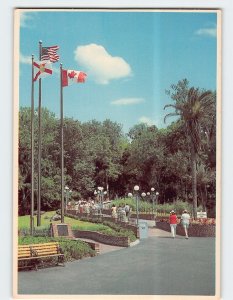 Postcard Jungle Cruise, Silver Springs, Florida