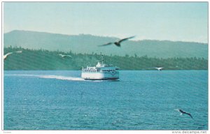 Ferry . B.C., Canada , 50-60s