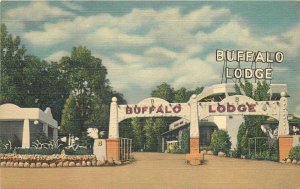 Postcard 1940s Colorado Springs Colorado Buffalo Lodge occupation linen 23-12488