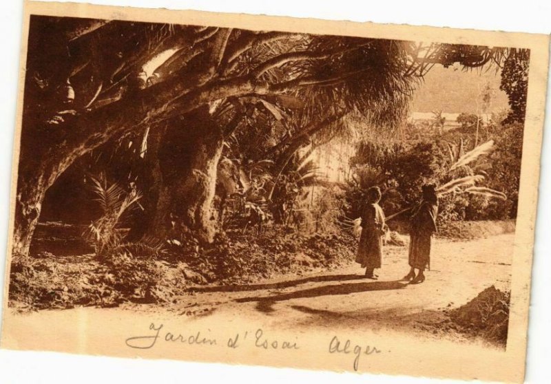 CPA AK Algérie-Alger-Jardin d'Essai-Sous les Draeoenas (237041)