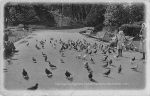 BR75122 feeding the pigeons castle gardens real photo  rochester    uk