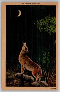 Desert Troubadour Beautiful Howling Coyote Under Crescent Moon Postcard B42