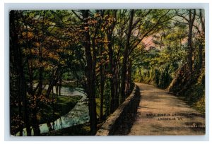 C.1900-07 Maple Road In Cherokeee Park Louisville, KY. Postcard P154E