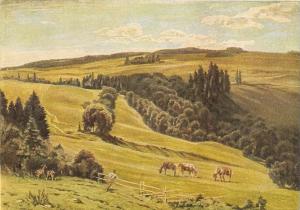 Landscape with horses pasturing Nice German PC. Size 6 x 4. Artist drawn